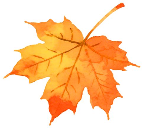 【一周新车】新车市场迎高潮 这六款车型值得关注